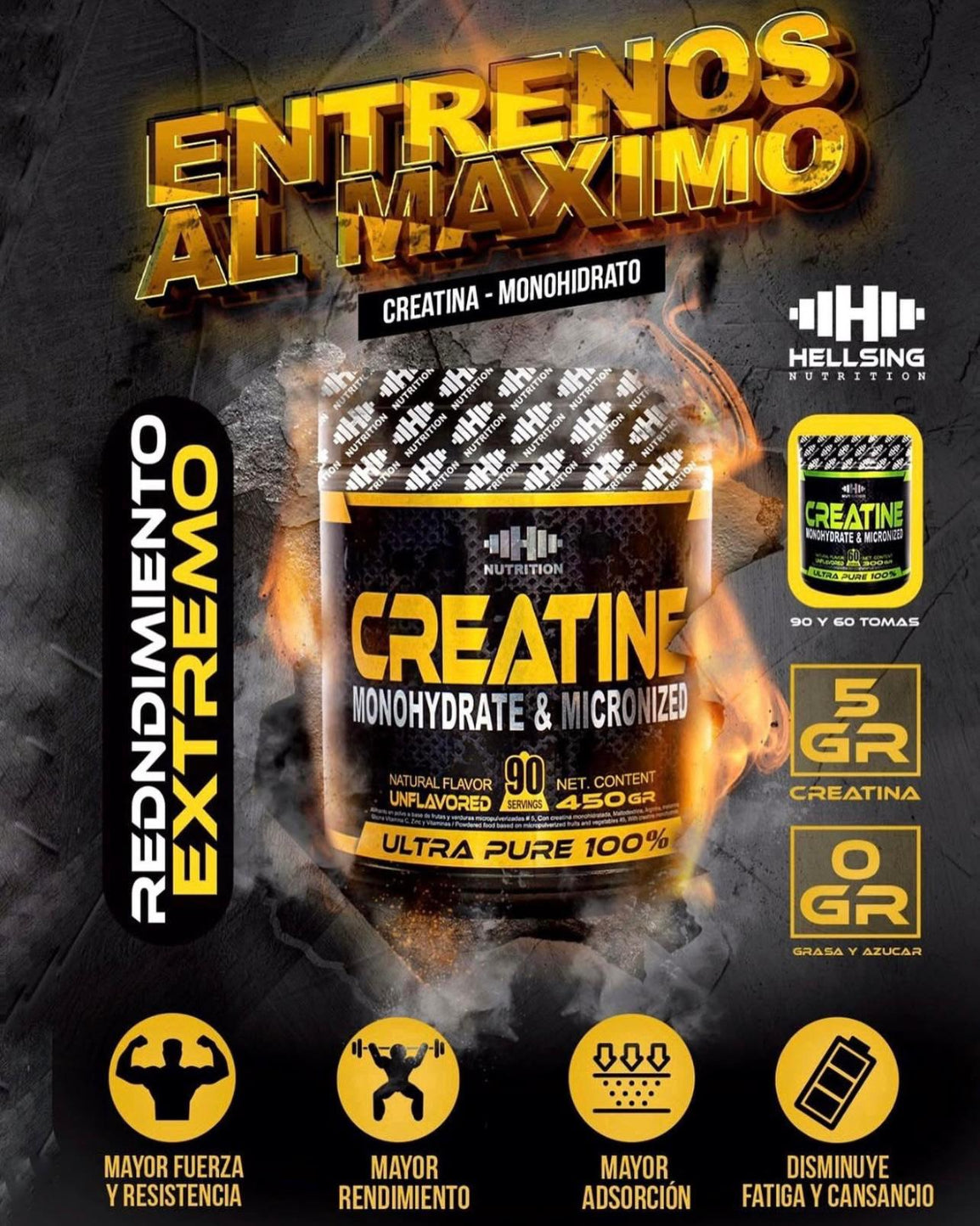 Creatine Monohydrate & Micronized (90 Services)