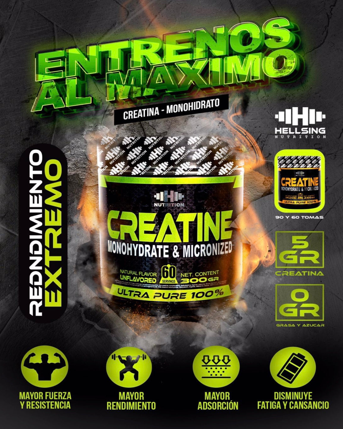 Creatine Monohydrate & micronized (60 Services)